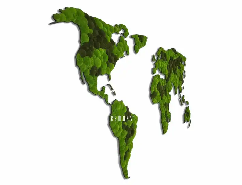 Machový obraz Mapa sveta KONTINENTY BOLMOSS DUO Light