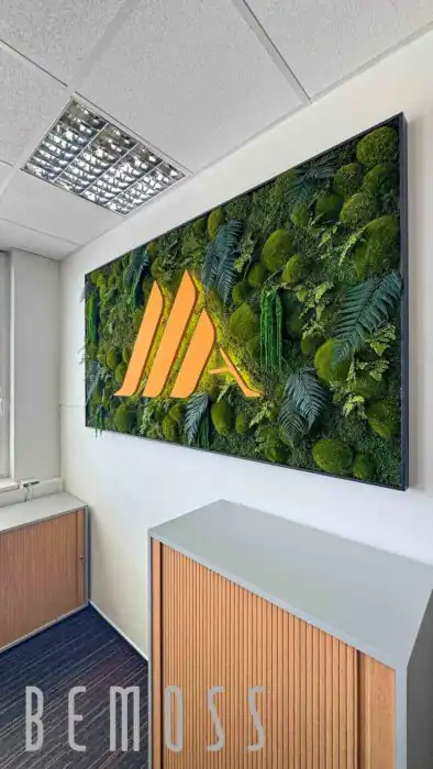 machove logoJPG