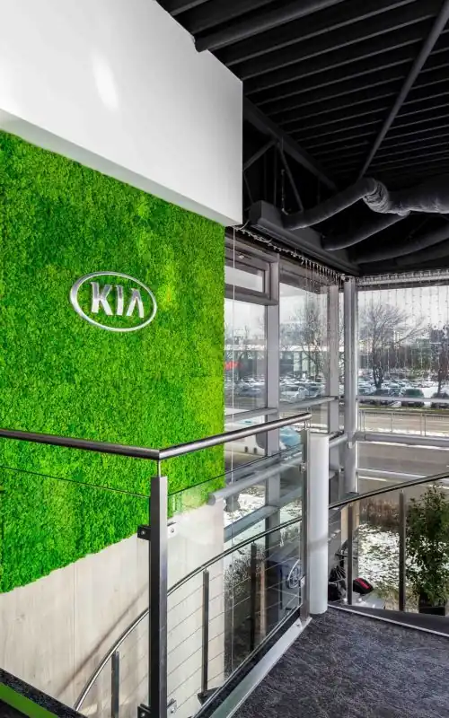 zelená stena s logom a sklenené dvere vedúce na parkovisko s autami zaparkovanými v pozadí, environmentálne umenie , machovy obraz, stabilizovany mach, machová stena, machová dekorácia