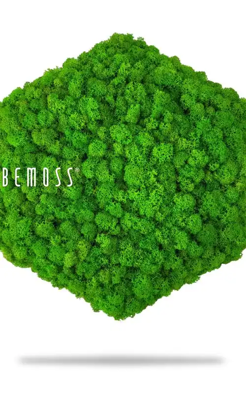 zelený strom so slovom byť machom na boku a bielym pozadím s bielym textom pod ním, environmentálne umenie , machovy obraz, stabilizovany mach, machová stena, machová dekorácia